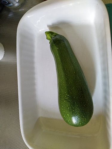 15963828343082078445509767609795