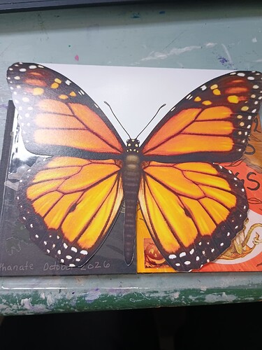 IMG_20251017_140101667