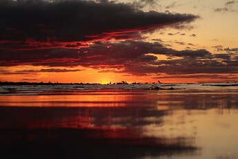 IMG_9044