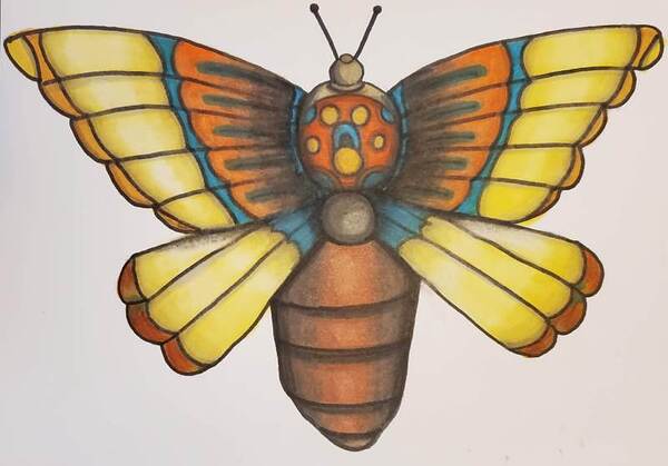 moth - Copy