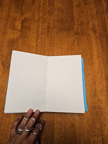 234f38fbd936206bc0c5246337ae05e0a9e3084a_2_562x750