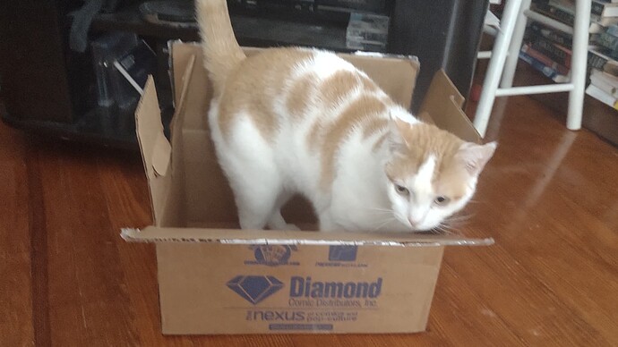 IMG_20251214_091203502