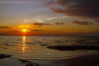 IMG_7220