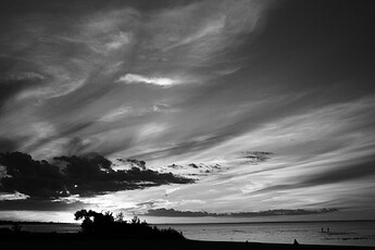 IMG_8537