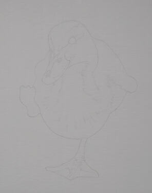 2026-08-Duckling-03-02