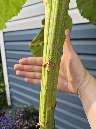 6341