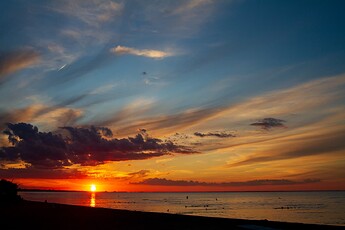 IMG_8539