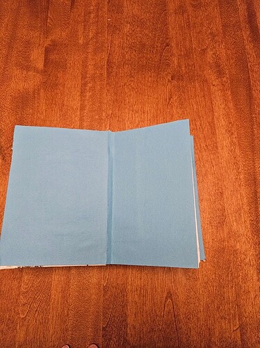 8caa56479555e984bd564a93bfbfee4da8f60831_2_562x750