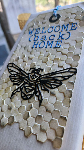 BackHome03