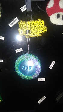 IMG_20231105_142117405