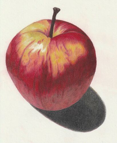 BeaG-2026-Apple-ColoredPencilDrawing