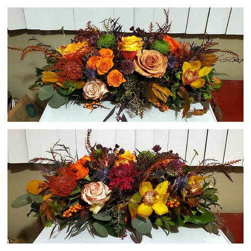 pixlr_20251125213530158