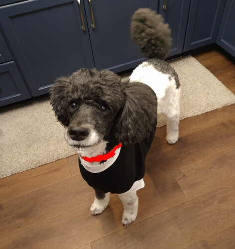 IMG_20260104_223248052~2