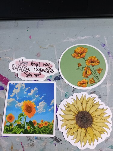 IMG_20251023_173127593