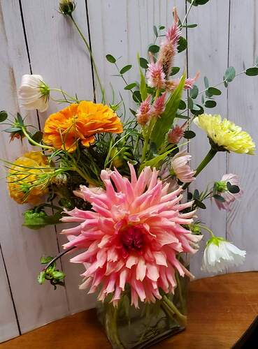 Flowers - Farm 1 rs
