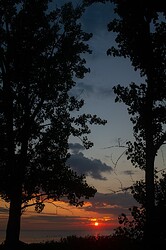 IMG_7131