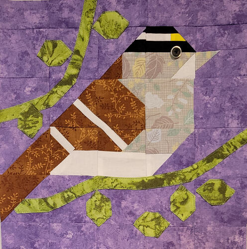 White Throated Sparrow