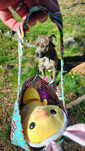 Easter01