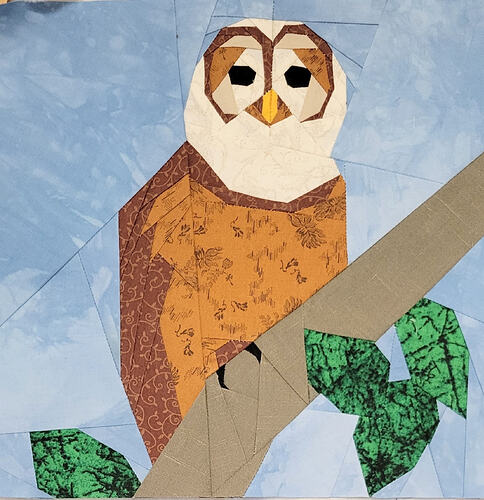Barred owl
