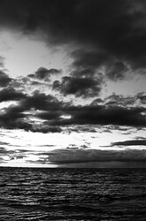 IMG_8419