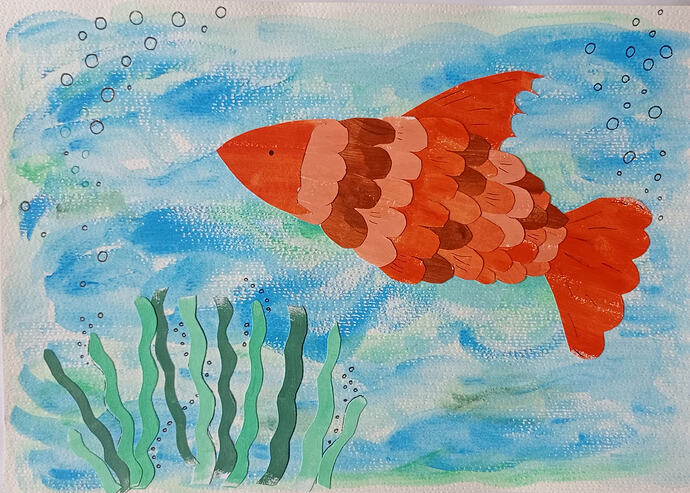 fish_collage