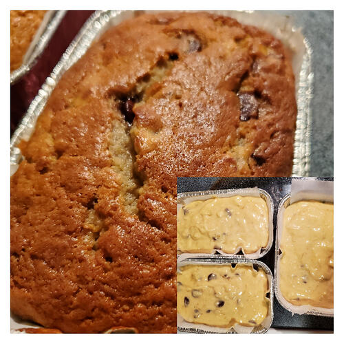 pixlr_20260301071327311