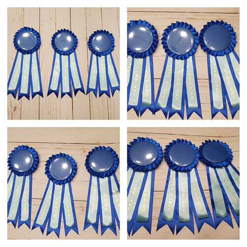 Blue Ribbons 03