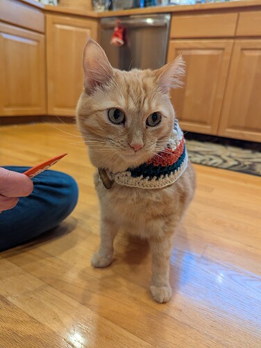 PXL_20260101_000324888