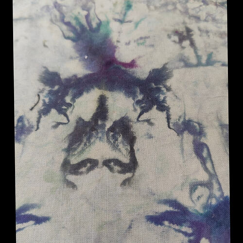 InCollage_20260512_100908411