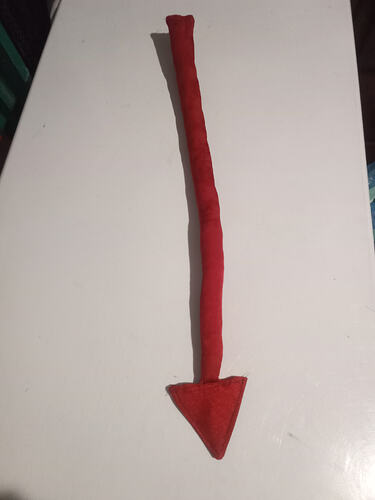 IMG_20260129_173329_499