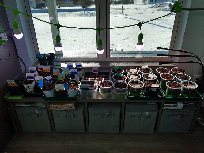 IMG_20260301_093831662_HDR