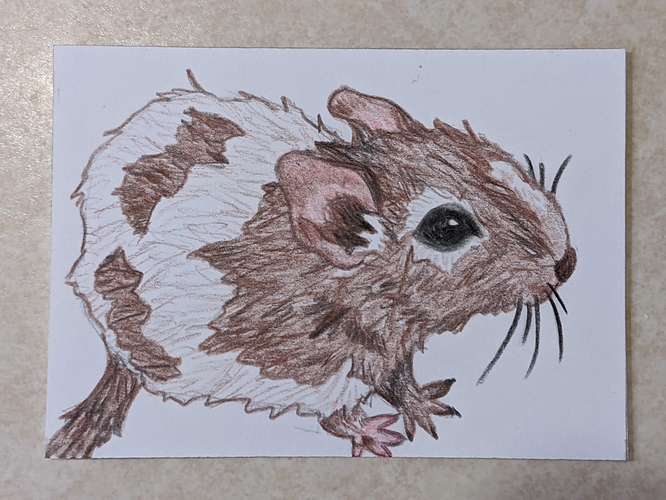 original_52140f16-1538-45f5-853a-34cb9f3c3613_IMG_20201018_202632