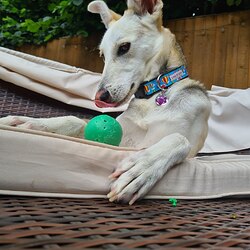 IMG_20220715_210545_658