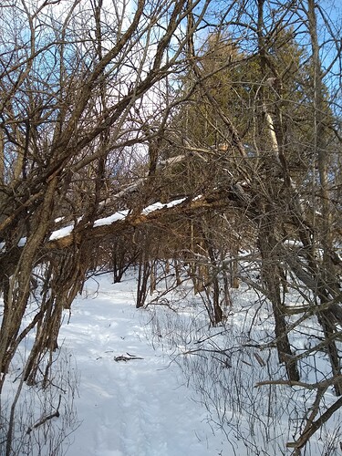 IMG_20260118_121825150