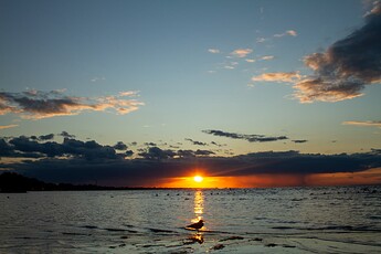 IMG_8465