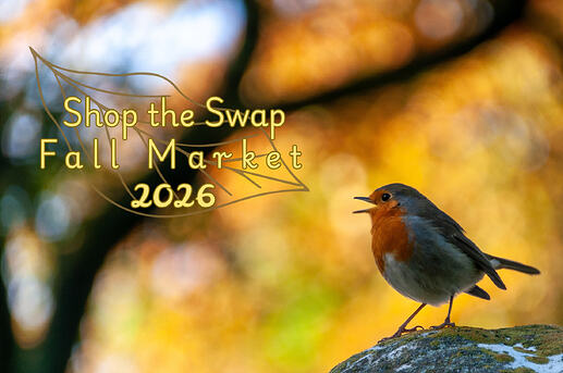 Shop the Swap Fall Market