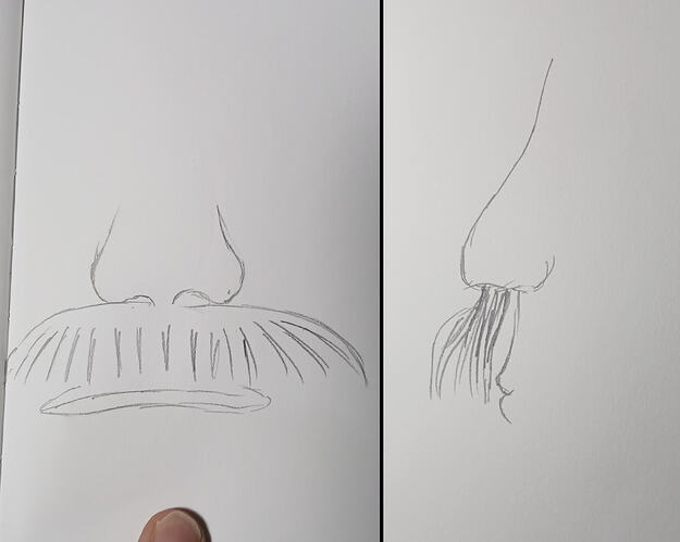 ResizedImage_2026-03-31_07-27-04_4943