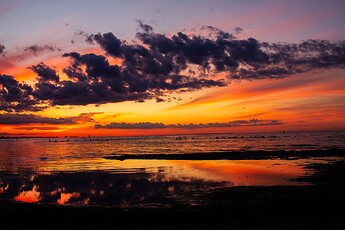 IMG_8587