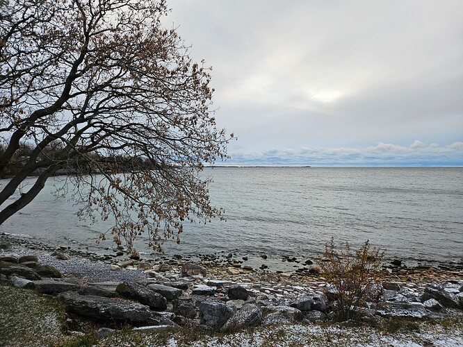 A portion of a tree's branches are seen on the left, with Lake Ontario to the right. A light dusting of snow is seen on the rocky shore, and a grayish blue sky is seen on the background, with a few clouds close to the water.