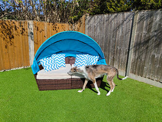 IMG_20250410_125921013