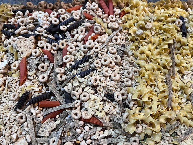 Shunamite Diet for Pet Rats, a Recipe Completed Projects the Lettuce Craft Forums