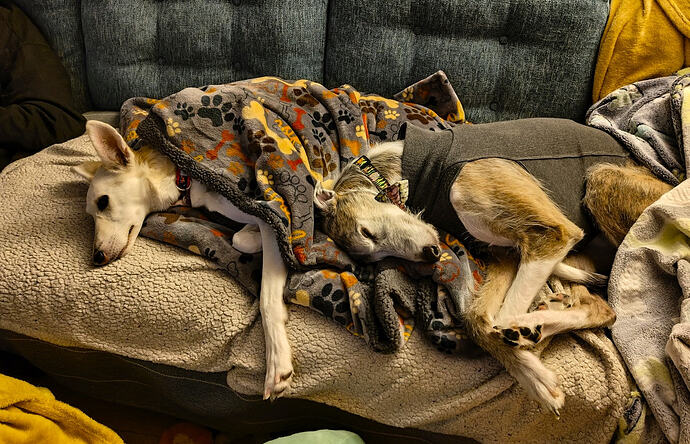 Testing out the first sleeping bag