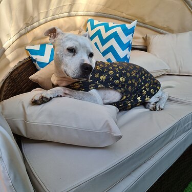 IMG_20220611_141510_832