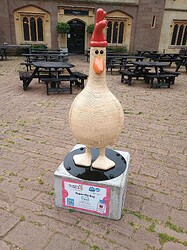 IMG_20250705_084649698