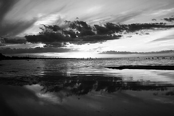 IMG_8554