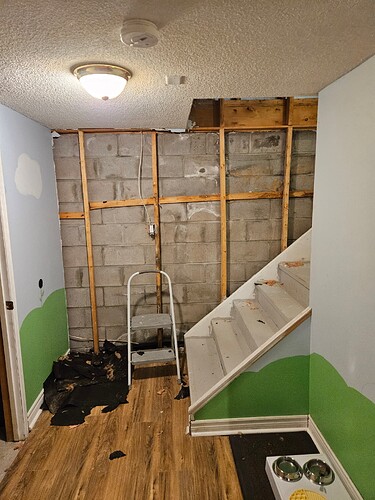 20250501_Basement reno (5)