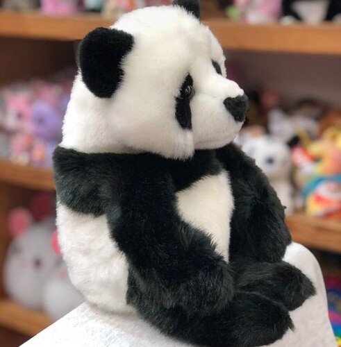 Screenshot_20250730_222127_Pinterest