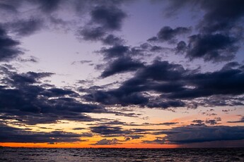 IMG_8421