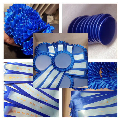 Blue Ribbons 01