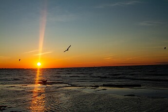 IMG_8276